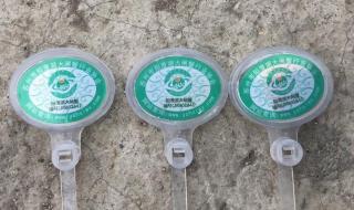 天津阳澄湖大闸蟹