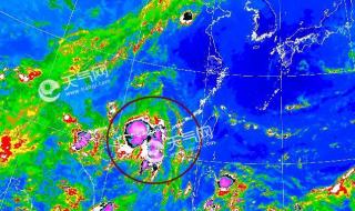 5号台风最新消息2020