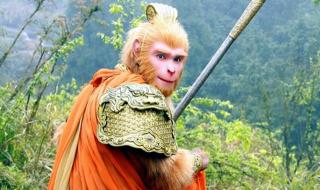 新西游记张纪中 新西游记张纪中