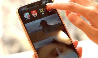 麦当劳半价 麦当劳半价