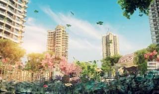 武汉宣传片制作公司