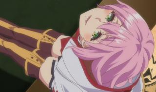 回复术士类似的动画