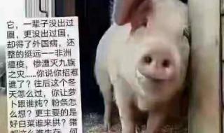 师傅大师兄说的对啊